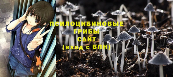 герыч Михайловск