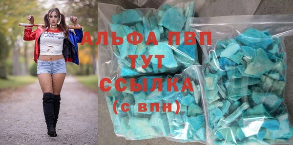 индика Медногорск