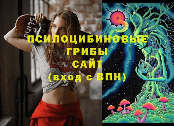 индика Медногорск