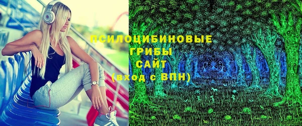 индика Медногорск
