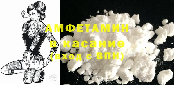 индика Медногорск