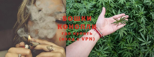 стаф Мегион