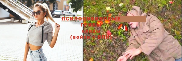 стаф Мегион