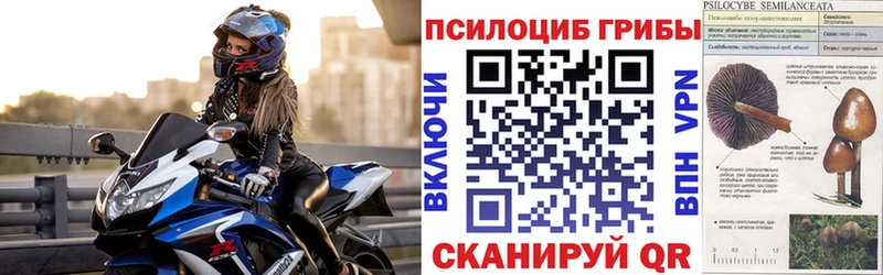 купить наркоту  Дубовка  Галлюциногенные грибы мухоморы 