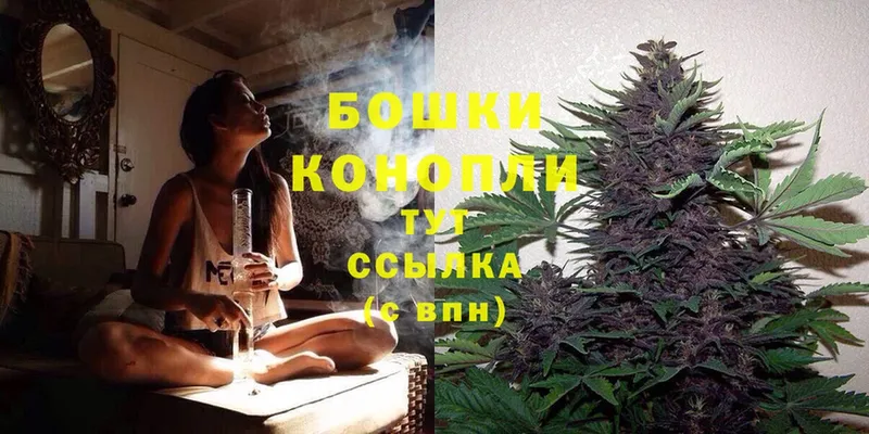 блэк спрут ССЫЛКА  Дубовка  Шишки марихуана White Widow 